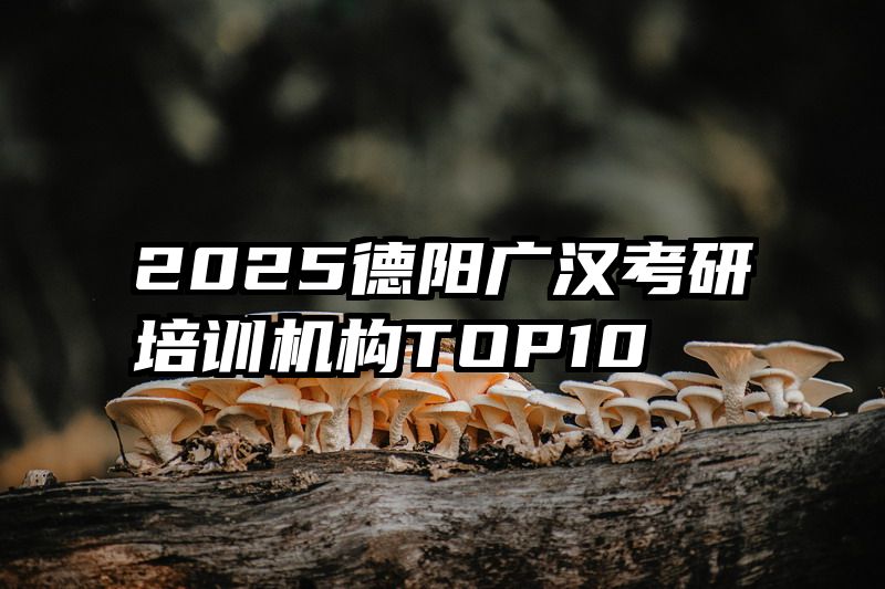 2025德阳广汉考研培训机构TOP10