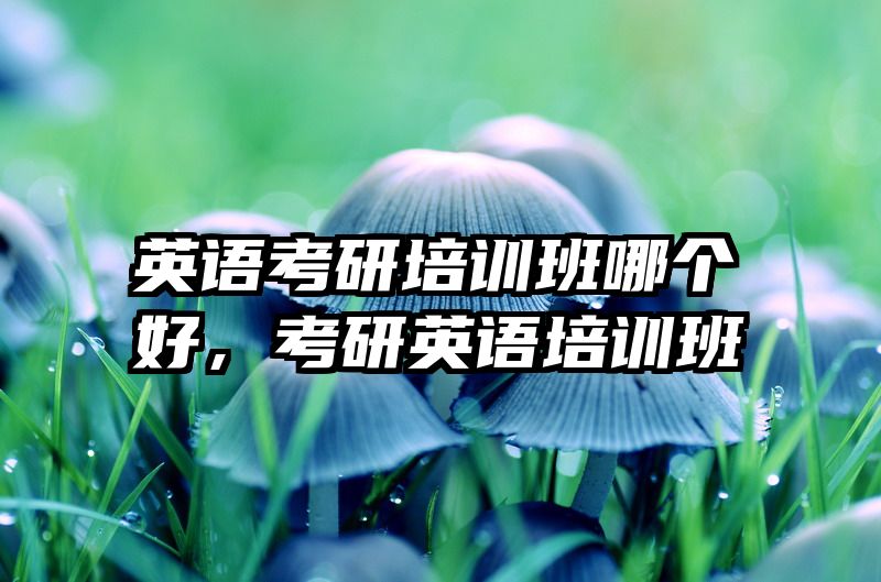 英语考研培训班哪个好,考研英语培训班