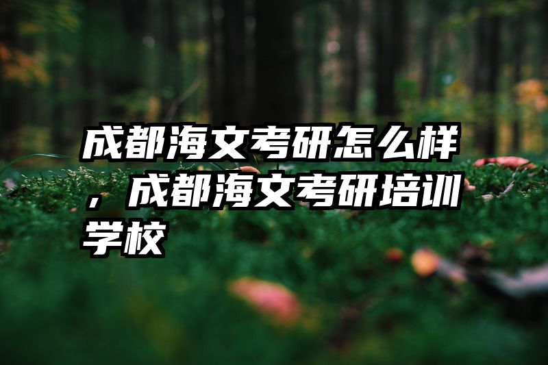 成都海文考研怎么样，成都海文考研培训学校