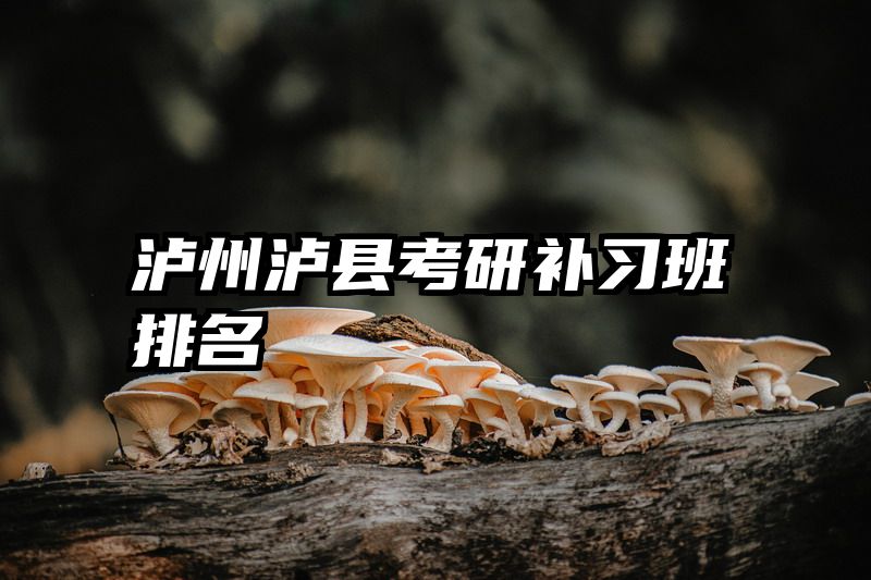泸州泸县考研补习班排名