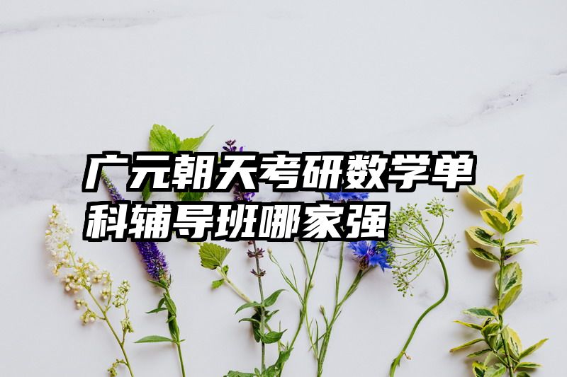 广元朝天考研数学单科辅导班哪家强