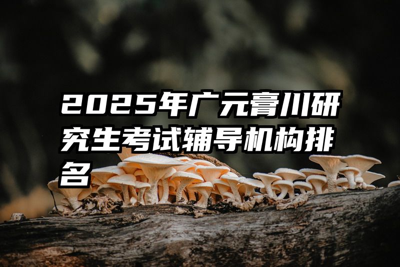 2025年广元膏川研究生考试辅导机构排名