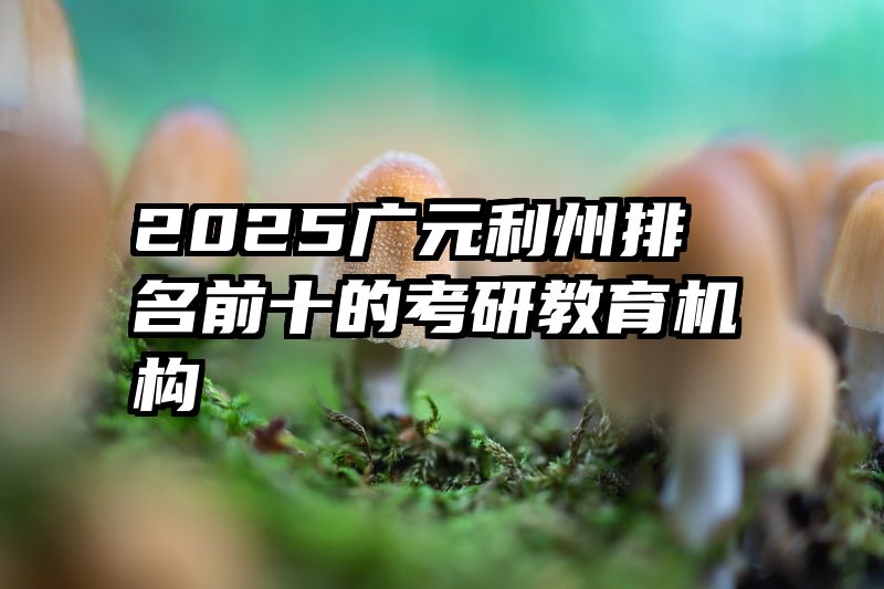 2025广元利州排名前十的考研教育机构