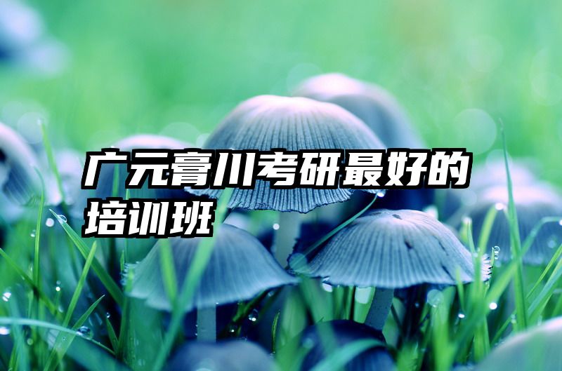 广元膏川考研最好的培训班