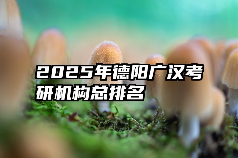 2025年德阳广汉考研机构总排名