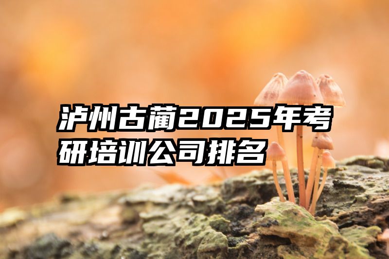 泸州古蔺2025年考研培训公司排名