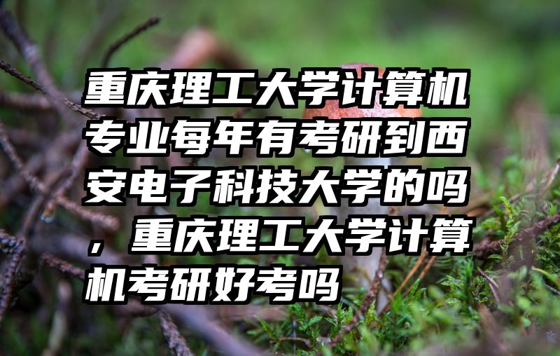 重庆理工大学计算机专业每年有考研到西安电子科技大学的吗,重庆理工大学计算机考研好考吗