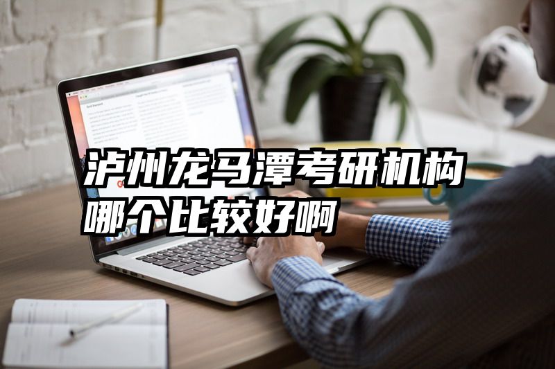 泸州龙马潭考研机构哪个比较好啊