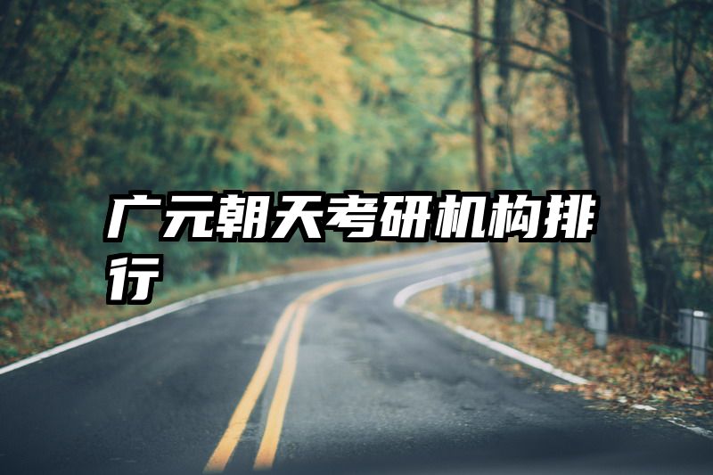 广元朝天考研机构排行