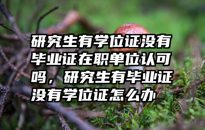 研究生有学位证没有毕业证在职单位认可吗,研究生有毕业证没有学位证怎么办