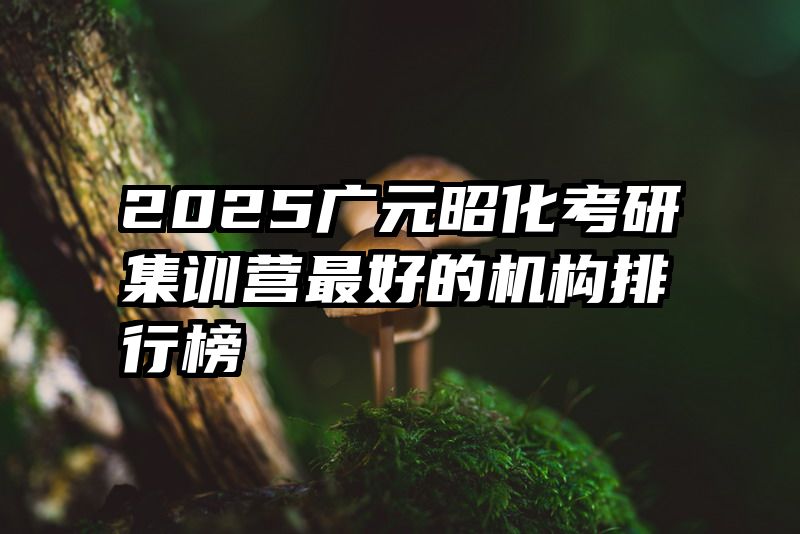 2025广元昭化考研集训营最好的机构排行榜