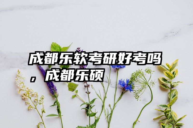 成都乐软考研好考吗，成都乐硕