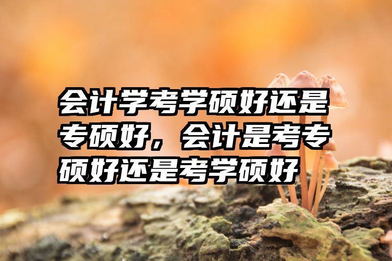 会计学考学硕好还是专硕好,会计是考专硕好还是考学硕好