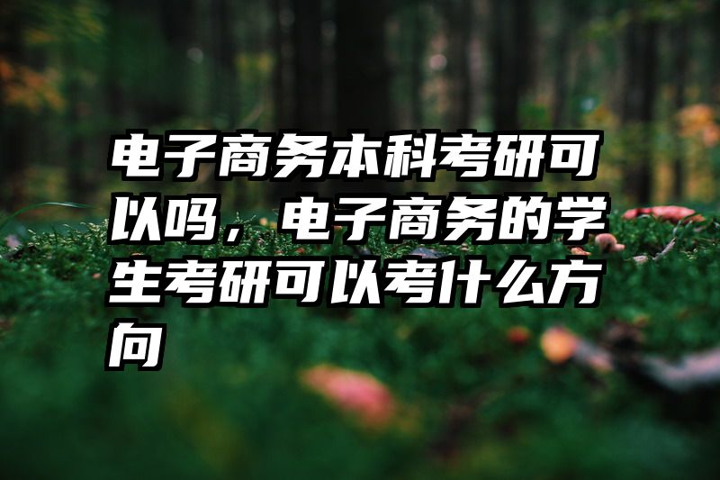 电子商务本科考研可以吗,电子商务的学生考研可以考什么方向