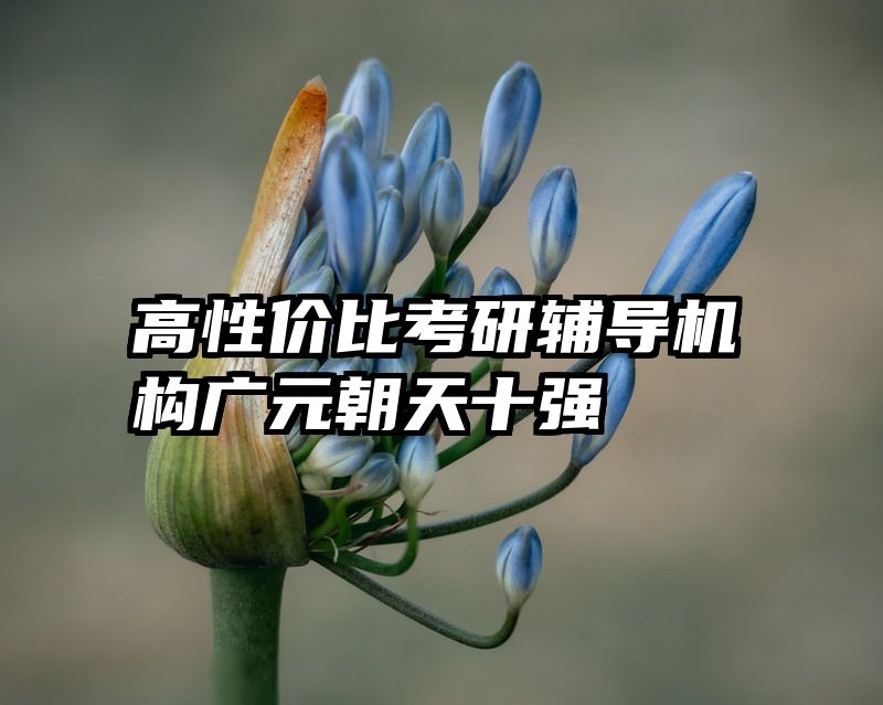 高性价比考研辅导机构广元朝天十强