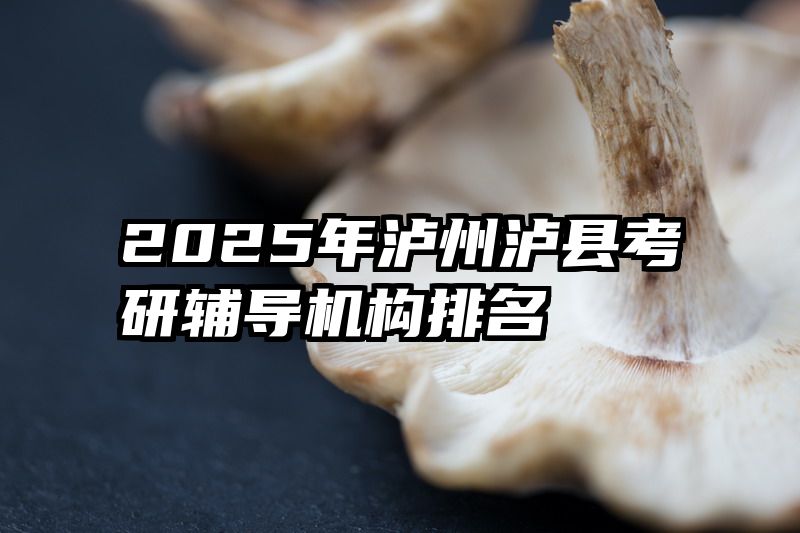 2025年泸州泸县考研辅导机构排名