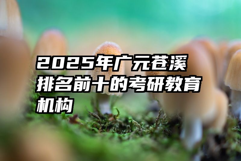 2025年广元苍溪排名前十的考研教育机构