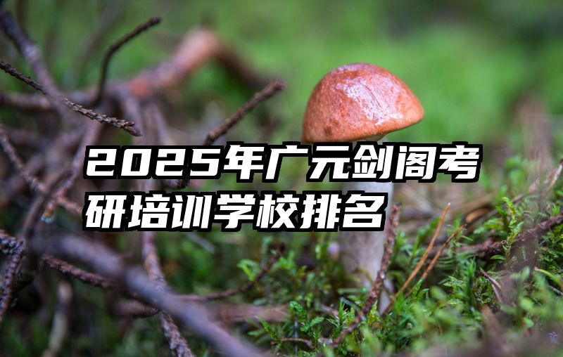 2025年广元剑阁考研培训学校排名
