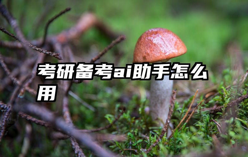 考研备考ai助手怎么用