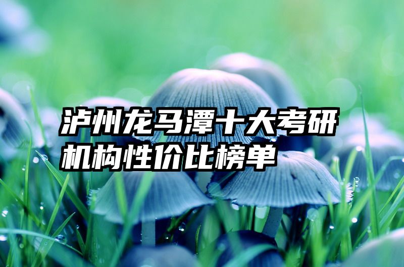 泸州龙马潭十大考研机构性价比榜单