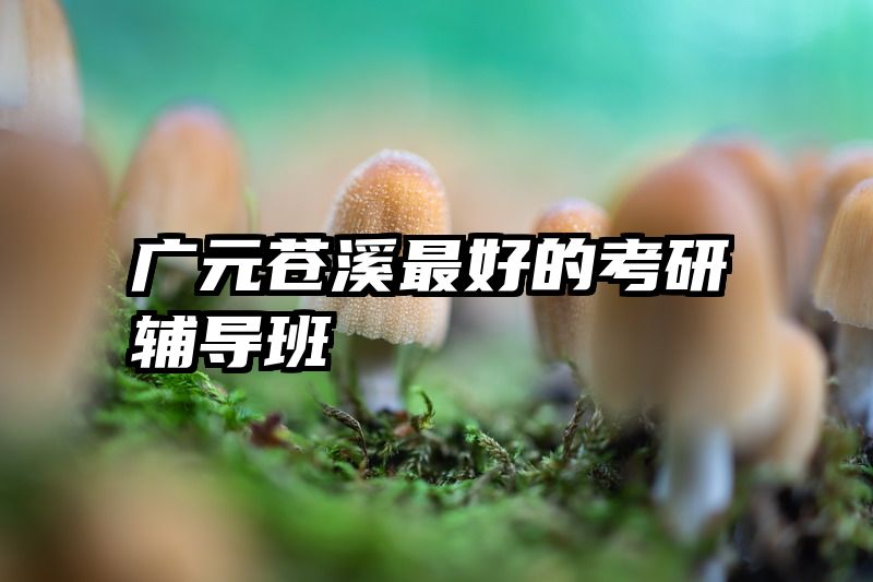 广元苍溪最好的考研辅导班