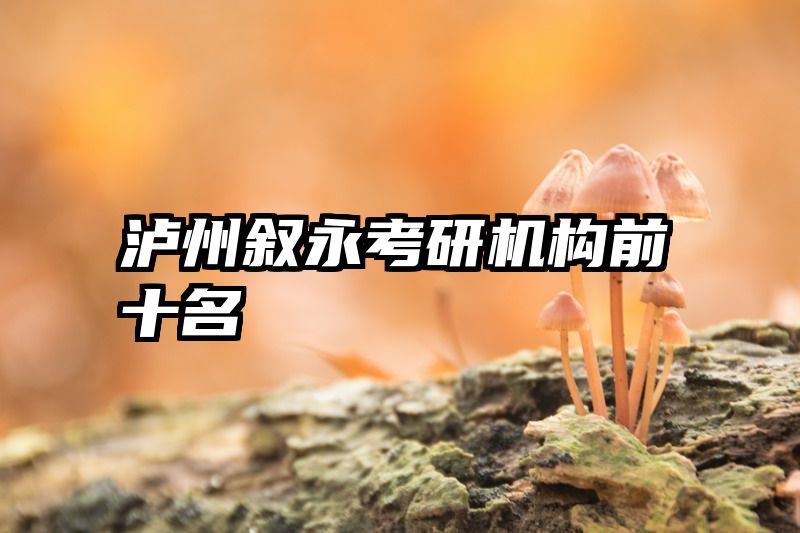 泸州叙永考研机构前十名
