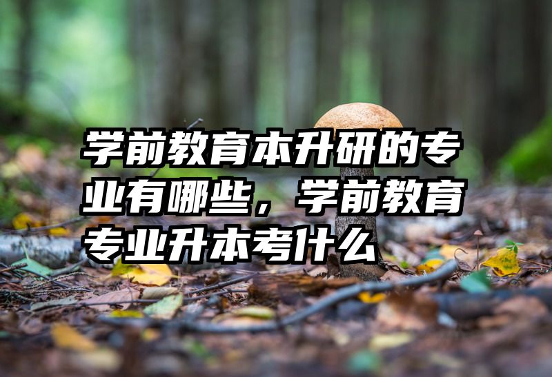 学前教育本升研的专业有哪些，学前教育专业升本考什么