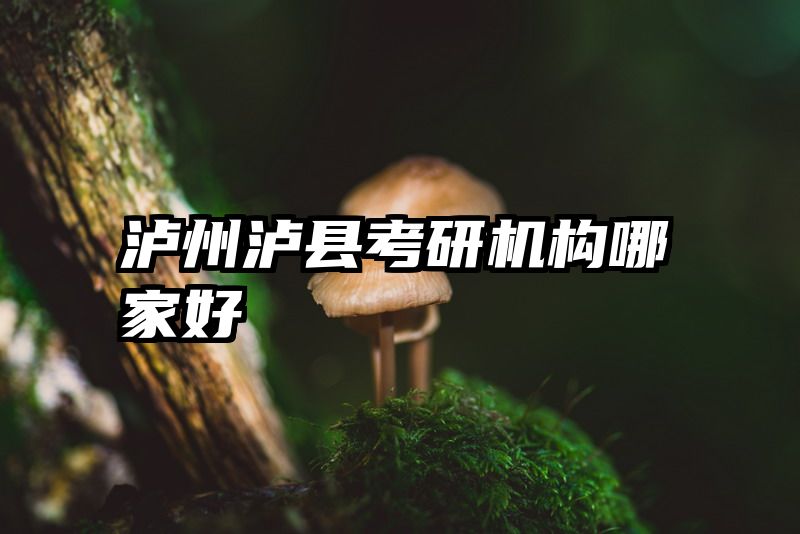 泸州泸县考研机构哪家好