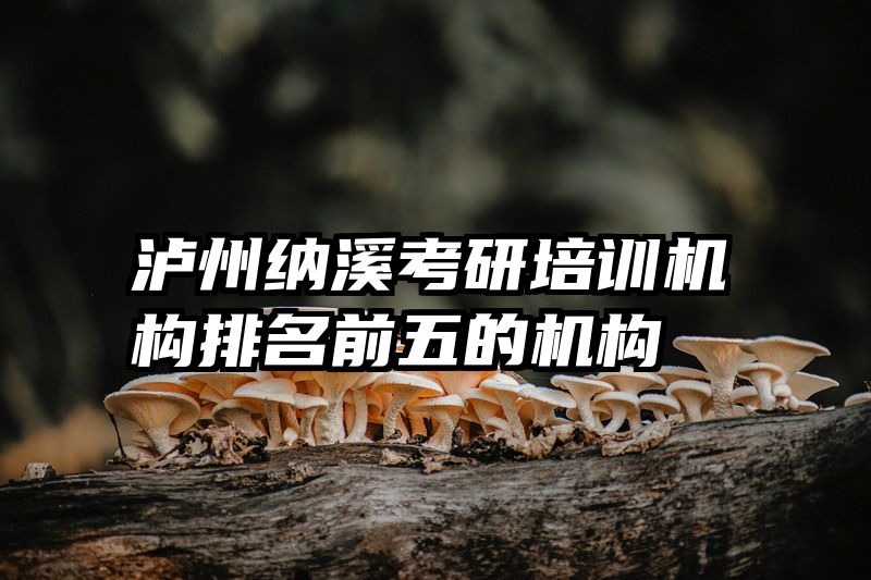 泸州纳溪考研培训机构排名前五的机构