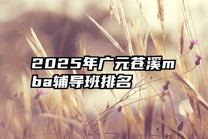 2025年广元苍溪mba辅导班排名