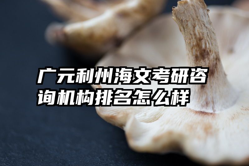 广元利州海文考研咨询机构排名怎么样