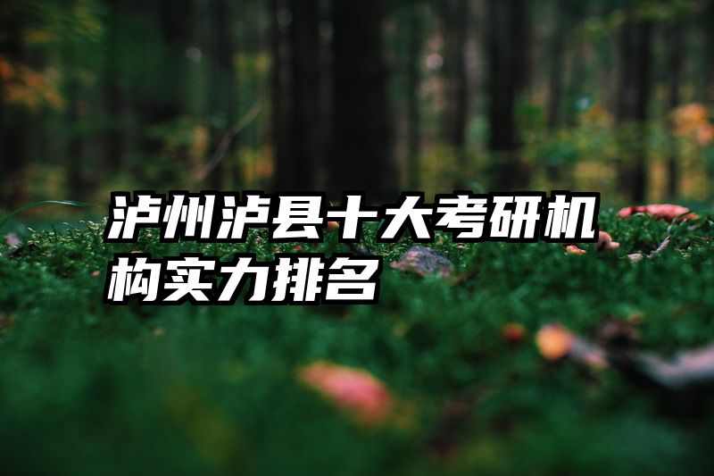 泸州泸县十大考研机构实力排名