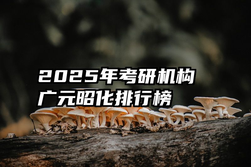 2025年考研机构广元昭化排行榜