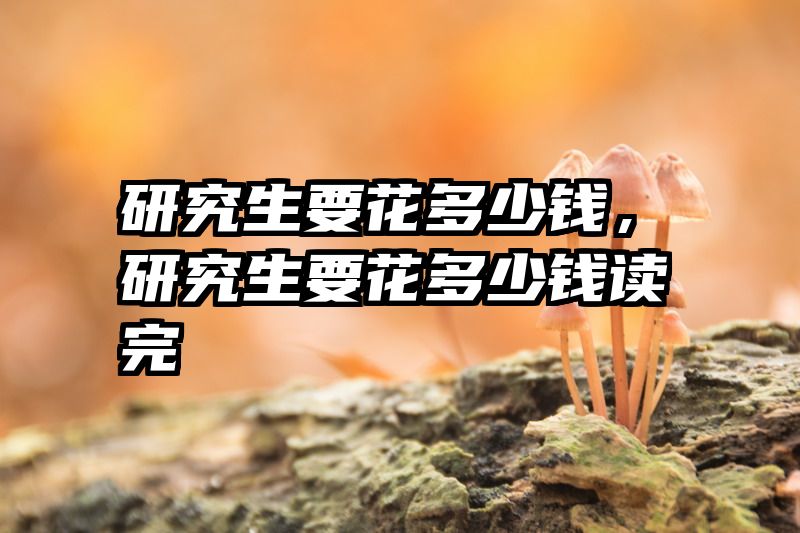 研究生要花多少钱，研究生要花多少钱读完