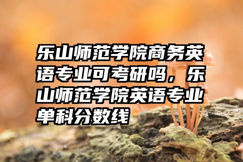 乐山师范学院商务英语专业可考研吗,乐山师范学院英语专业单科分数线