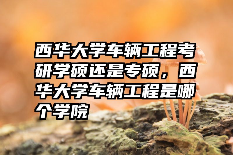 西华大学车辆工程考研学硕还是专硕，西华大学车辆工程是哪个学院