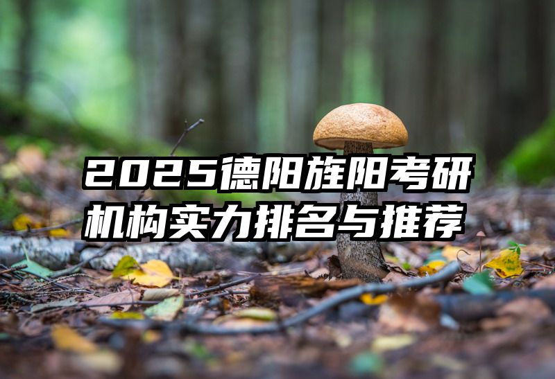 2025德阳旌阳考研机构实力排名与推荐