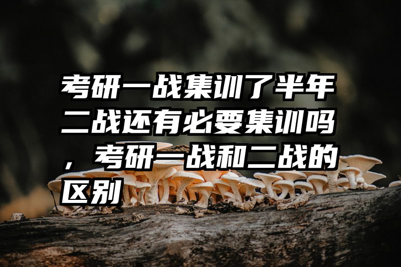 考研一战集训了半年二战还有必要集训吗,考研一战和二战的区别