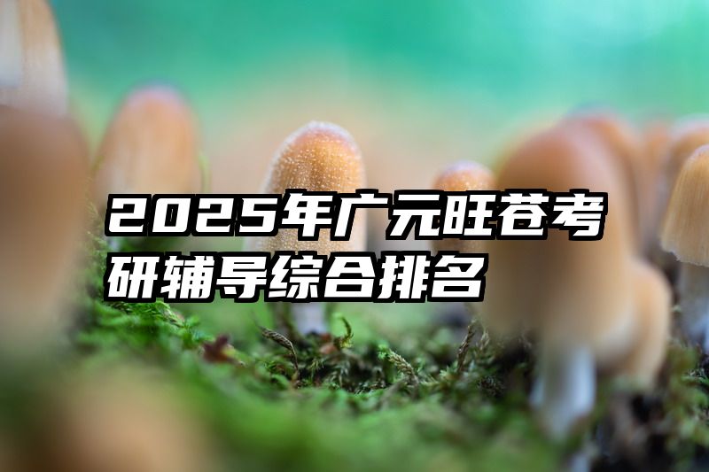 2025年广元旺苍考研辅导综合排名