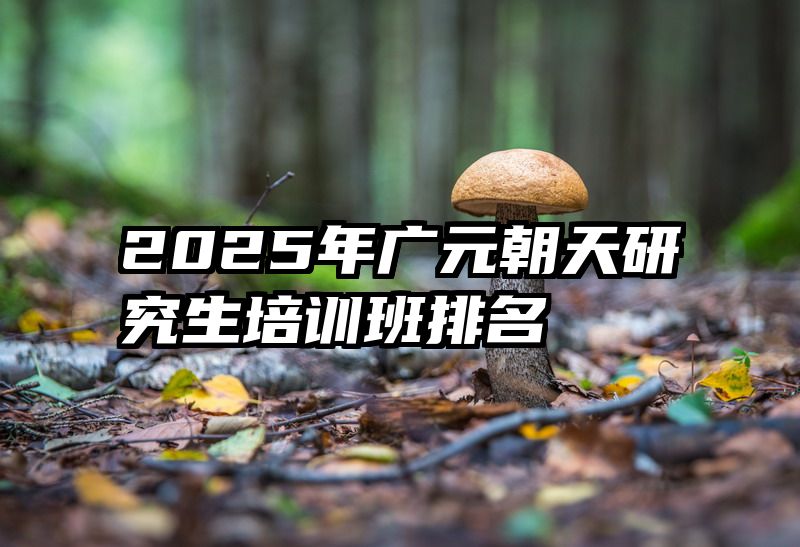 2025年广元朝天研究生培训班排名
