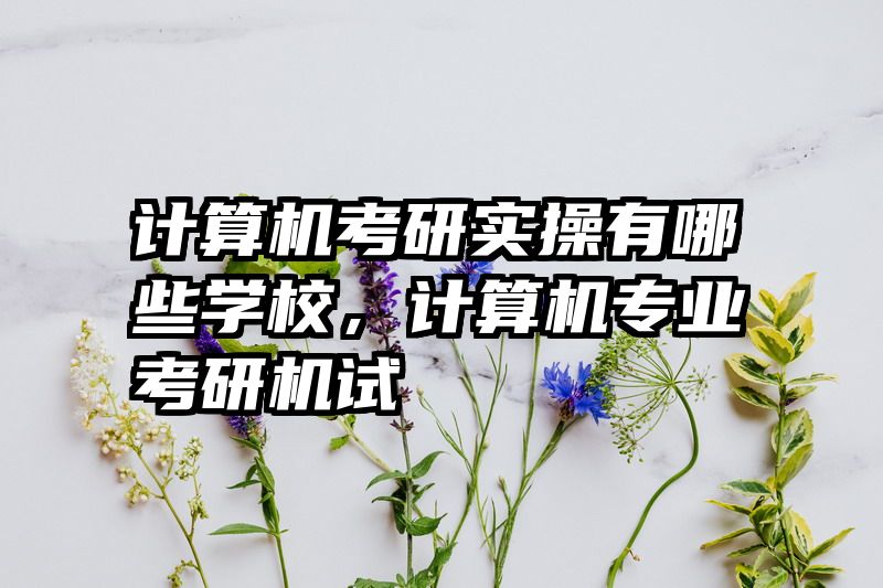 计算机考研实操有哪些学校，计算机专业考研机试