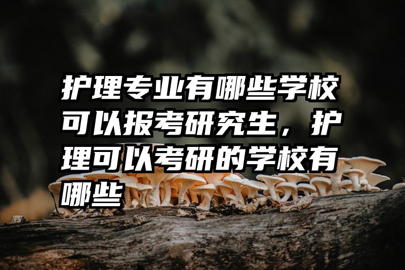护理专业有哪些学校可以报考研究生，护理可以考研的学校有哪些