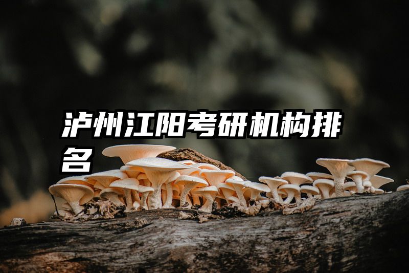 泸州江阳考研机构排名
