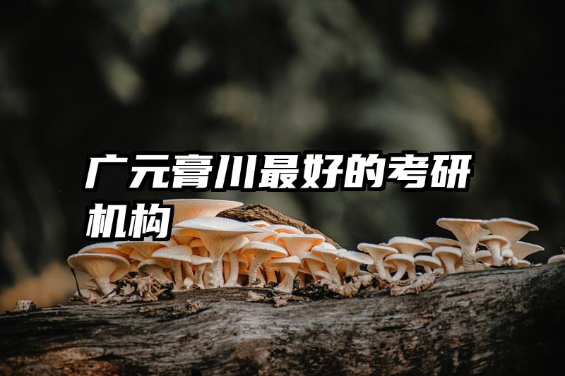 广元膏川最好的考研机构