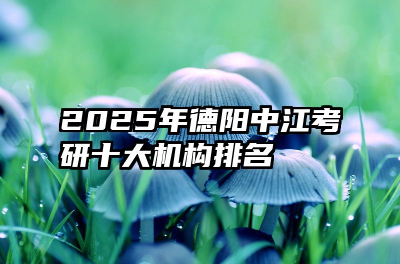 2025年德阳中江考研十大机构排名