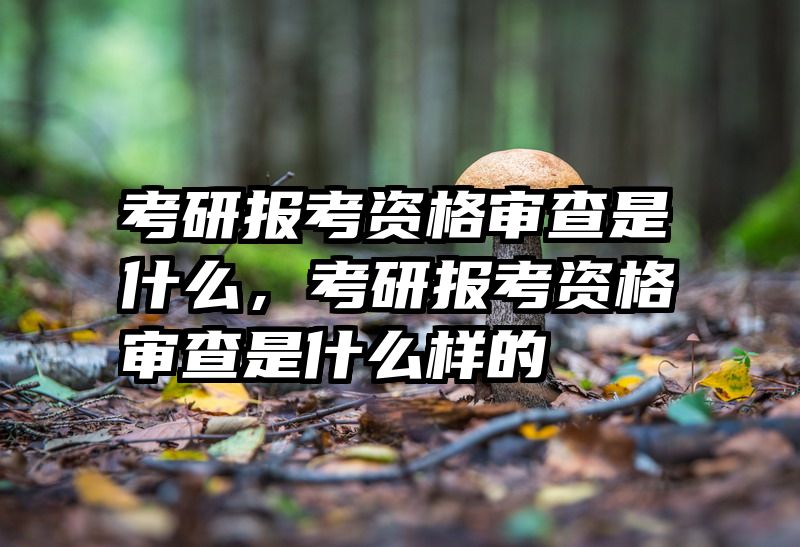 考研报考资格审查是什么，考研报考资格审查是什么样的