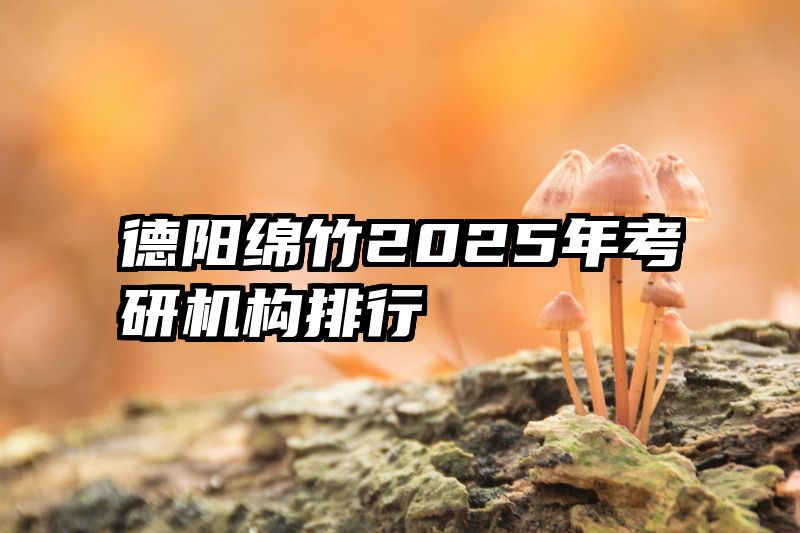 德阳绵竹2025年考研机构排行
