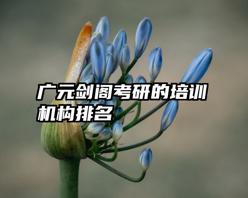 广元剑阁考研的培训机构排名