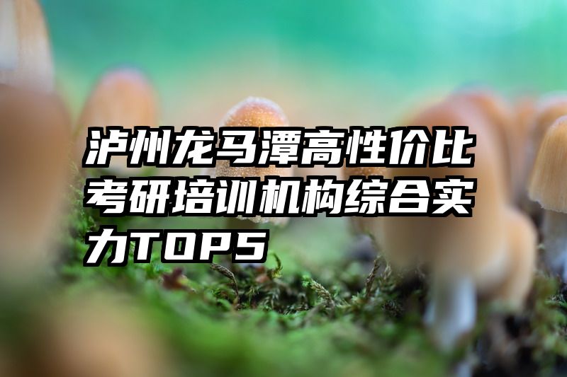 泸州龙马潭高性价比考研培训机构综合实力TOP5