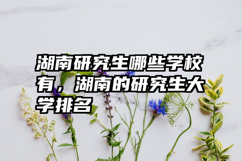 湖南研究生哪些学校有,湖南的研究生大学排名